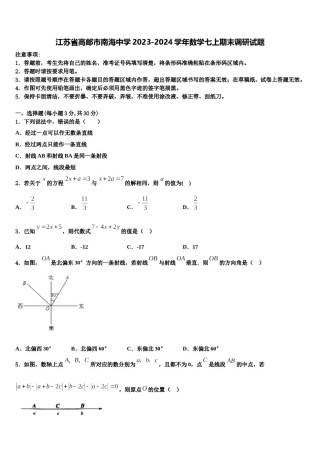 江苏省高邮市南海中学2023-2024学年数学七上期末调研试题含解析.doc
