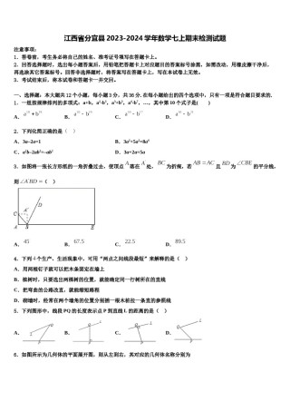 江西省分宜县2023-2024学年数学七上期末检测试题含解析.doc