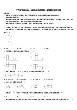 江西省宜春市2023年七年级数学第一学期期末调研试题含解析.doc