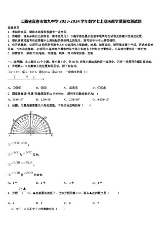 江西省宜春市第九中学2023-2024学年数学七上期末教学质量检测试题含解析.doc