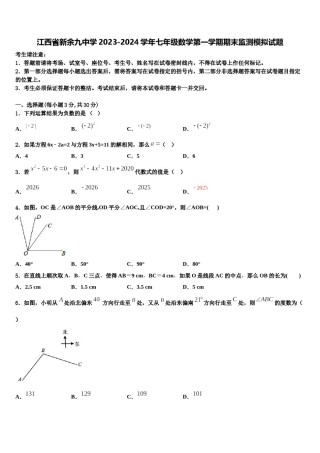 江西省新余九中学2023-2024学年七年级数学第一学期期末监测模拟试题含解析.doc
