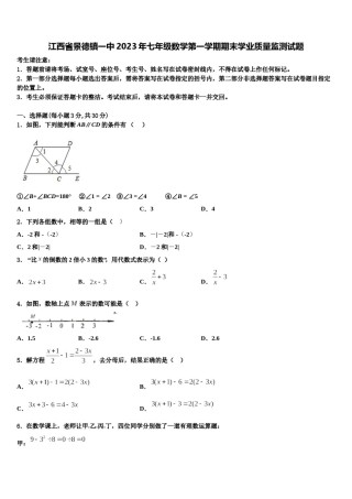 江西省景德镇一中2023年七年级数学第一学期期末学业质量监测试题含解析.doc