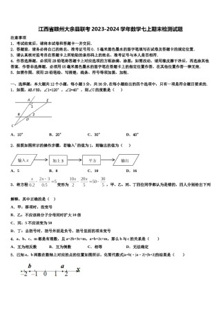 江西省赣州大余县联考2023-2024学年数学七上期末检测试题含解析.doc