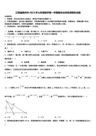 江西省赣州市2023年七年级数学第一学期期末达标检测模拟试题含解析.doc