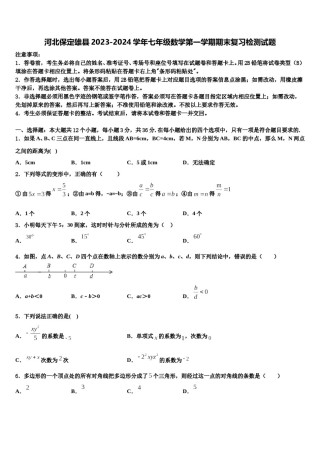 河北保定雄县2023-2024学年七年级数学第一学期期末复习检测试题含解析.doc