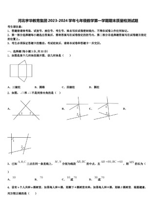 河北宇华教育集团2023-2024学年七年级数学第一学期期末质量检测试题含解析.doc