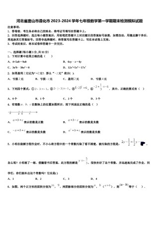 河北省唐山市遵化市2023-2024学年七年级数学第一学期期末检测模拟试题含解析.doc