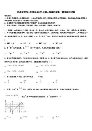 河北省唐市山乐亭县2023-2024学年数学七上期末调研试题含解析.doc