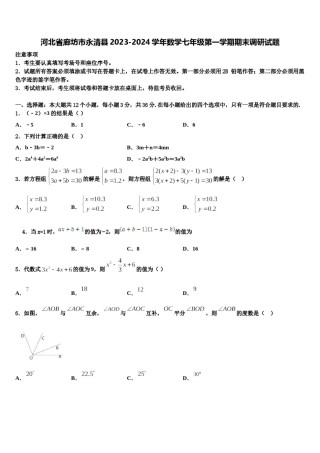 河北省廊坊市永清县2023-2024学年数学七年级第一学期期末调研试题含解析.doc