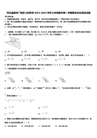 河北省廊坊广阳区七校联考2023-2024学年七年级数学第一学期期末综合测试试题含解析.doc