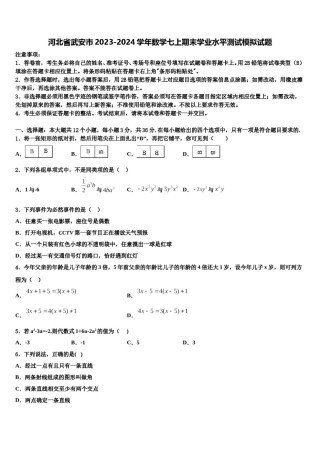 河北省武安市2023-2024学年数学七上期末学业水平测试模拟试题含解析.doc