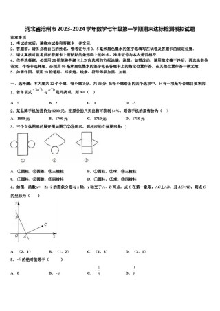 河北省沧州市2023-2024学年数学七年级第一学期期末达标检测模拟试题含解析.doc