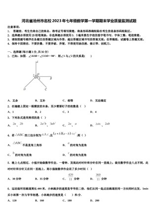 河北省沧州市名校2023年七年级数学第一学期期末学业质量监测试题含解析.doc