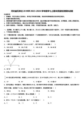 河北省石家庄28中学2023-2024学年数学七上期末质量检测模拟试题含解析.doc