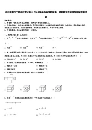 河北省邢台宁晋县联考2023-2024学年七年级数学第一学期期末质量跟踪监视模拟试题含解析.doc
