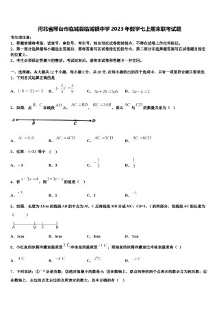 河北省邢台市临城县临城镇中学2023年数学七上期末联考试题含解析.doc