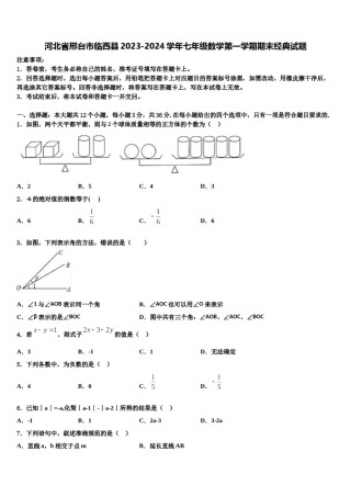 河北省邢台市临西县2023-2024学年七年级数学第一学期期末经典试题含解析.doc