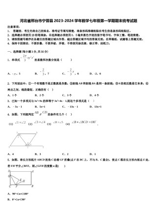 河北省邢台市宁晋县2023-2024学年数学七年级第一学期期末统考试题含解析.doc