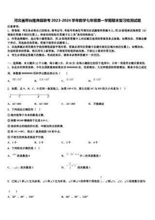 河北省邢台隆尧县联考2023-2024学年数学七年级第一学期期末复习检测试题含解析.doc