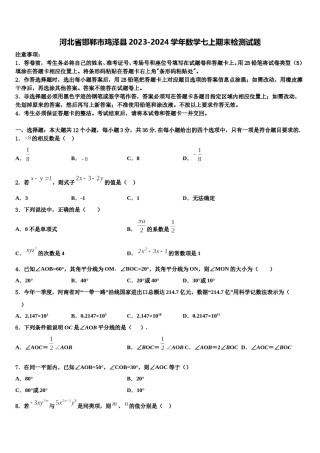 河北省邯郸市鸡泽县2023-2024学年数学七上期末检测试题含解析.doc