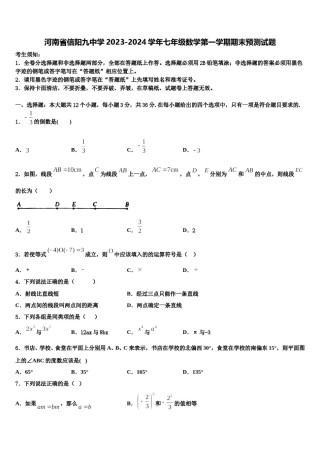 河南省信阳九中学2023-2024学年七年级数学第一学期期末预测试题含解析.doc