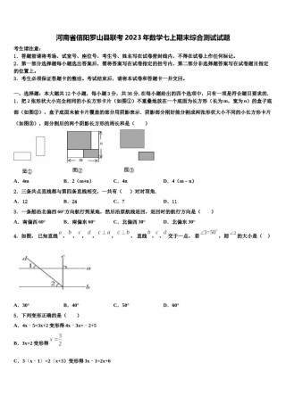 河南省信阳罗山县联考2023年数学七上期末综合测试试题含解析.doc