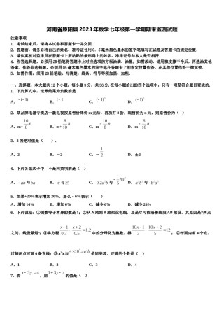 河南省原阳县2023年数学七年级第一学期期末监测试题含解析.doc