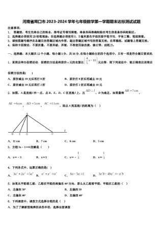河南省周口市2023-2024学年七年级数学第一学期期末达标测试试题含解析.doc