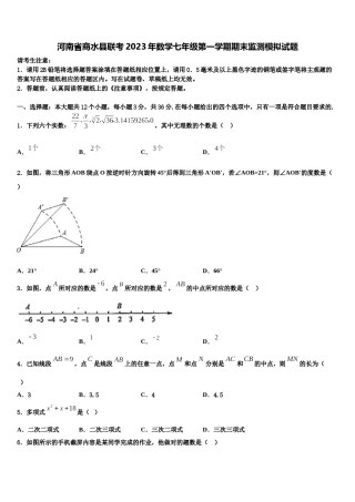 河南省商水县联考2023年数学七年级第一学期期末监测模拟试题含解析.doc