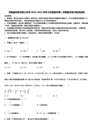 河南省安阳市第三中学2023-2024学年七年级数学第一学期期末复习检测试题含解析.doc