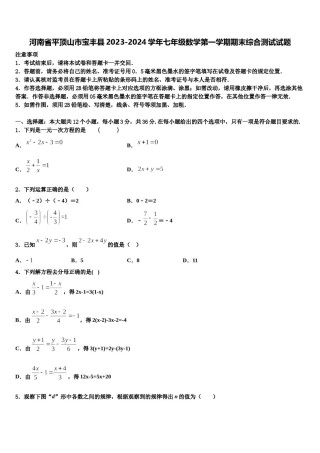 河南省平顶山市宝丰县2023-2024学年七年级数学第一学期期末综合测试试题含解析.doc