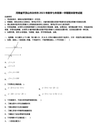 河南省平顶山市汝州市2023年数学七年级第一学期期末联考试题含解析.doc
