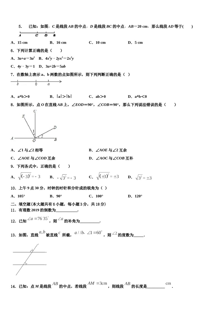 河南省开封市兰考县2023年七年级数学第一学期期末质量跟踪监视模拟试题含解析.doc_第2页