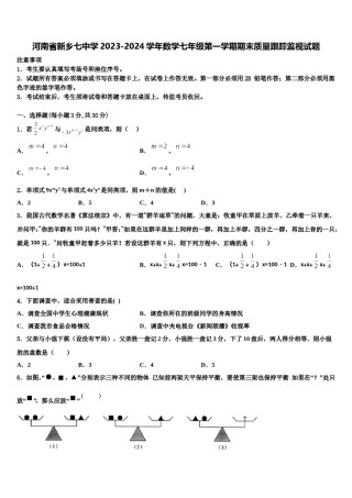河南省新乡七中学2023-2024学年数学七年级第一学期期末质量跟踪监视试题含解析.doc