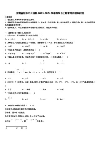 河南省新乡市长垣县2023-2024学年数学七上期末考试模拟试题含解析.doc