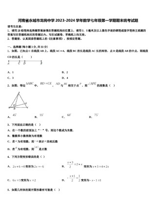 河南省永城市龙岗中学2023-2024学年数学七年级第一学期期末统考试题含解析.doc