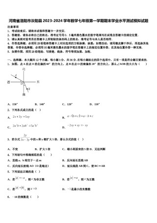 河南省洛阳市汝阳县2023-2024学年数学七年级第一学期期末学业水平测试模拟试题含解析.doc