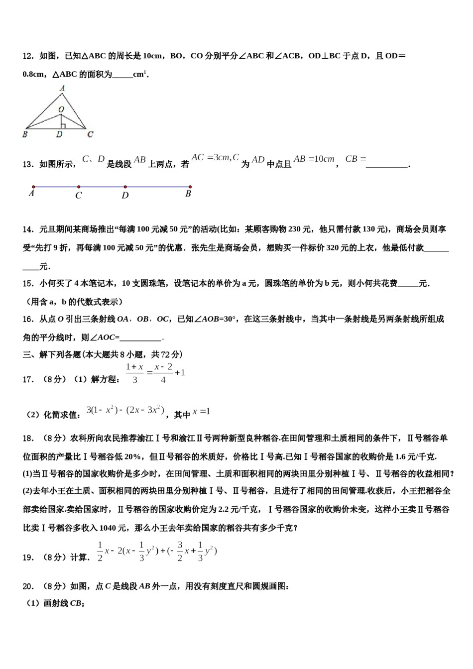 河南省滑县2023-2024学年七年级数学第一学期期末检测模拟试题含解析.doc_第3页
