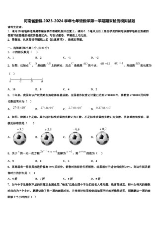 河南省滑县2023-2024学年七年级数学第一学期期末检测模拟试题含解析.doc