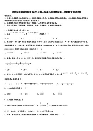 河南省濮阳县区联考2023-2024学年七年级数学第一学期期末调研试题含解析.doc