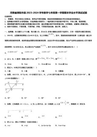 河南省濮阳市县2023-2024学年数学七年级第一学期期末学业水平测试试题含解析.doc