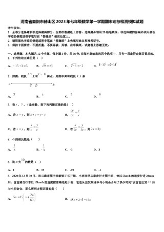 河南省益阳市赫山区2023年七年级数学第一学期期末达标检测模拟试题含解析.doc