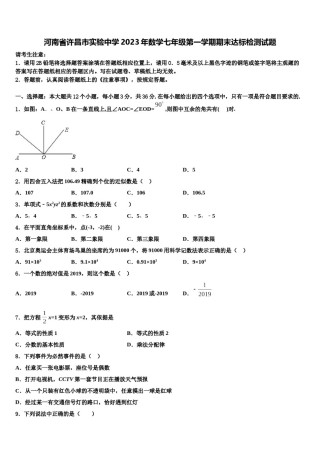 河南省许昌市实验中学2023年数学七年级第一学期期末达标检测试题含解析.doc