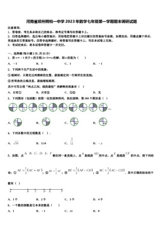 河南省郑州桐柏一中学2023年数学七年级第一学期期末调研试题含解析.doc