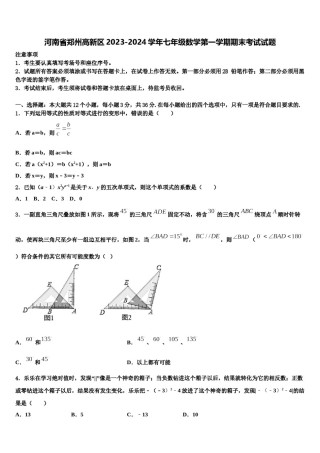 河南省郑州高新区2023-2024学年七年级数学第一学期期末考试试题含解析.doc