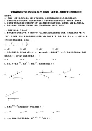 河南省鹿邑城郊乡阳光中学2023年数学七年级第一学期期末检测模拟试题含解析.doc