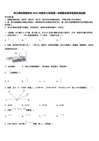 浙江嵊州蒋镇学校2023年数学七年级第一学期期末教学质量检测试题含解析.doc