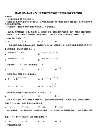 浙江省丽水2023-2024学年数学七年级第一学期期末统考模拟试题含解析.doc