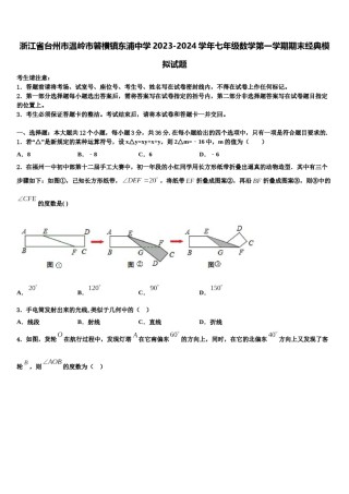 浙江省台州市温岭市箬横镇东浦中学2023-2024学年七年级数学第一学期期末经典模拟试题含解析.doc