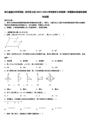 浙江省嘉兴市秀洲区、经开区七校2023-2024学年数学七年级第一学期期末质量检测模拟试题含解析.doc